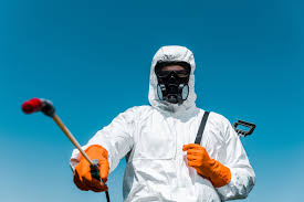 Best Bee and Wasp Removal  in Rose, LA